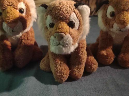 Tiberius holds press conference