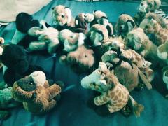 Tijgeron and his forces caught fighting with Tigerium forces