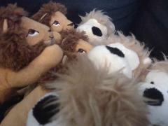 Imperialists (left) fighting Liowites (right)