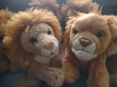 Safez and Umrad shake hands