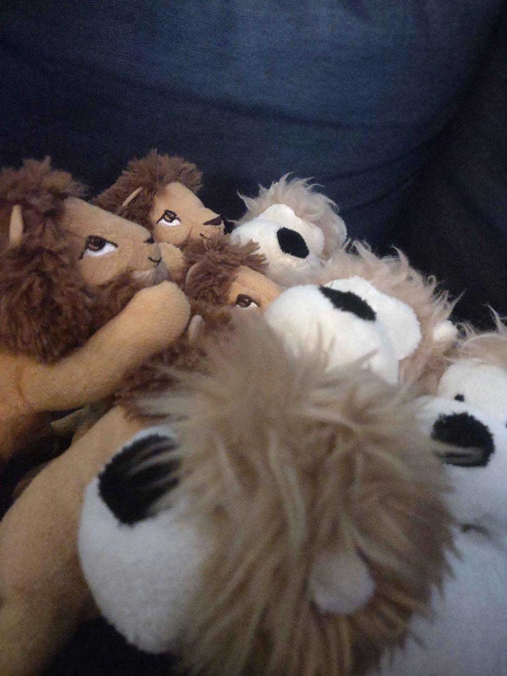 Imperialists (left) fighting Liowites (right)