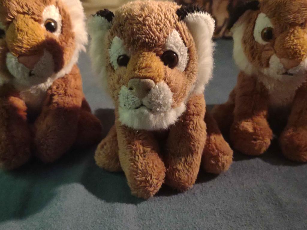 Tiberius holds press conference