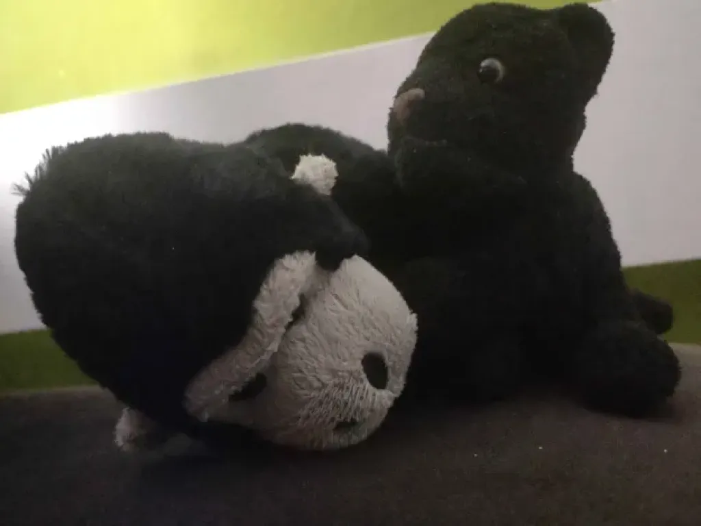 Tijgeron beating Goros