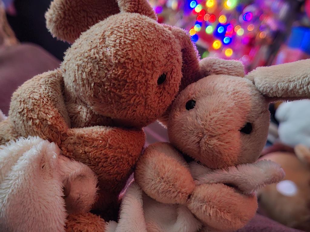 King Konijntje and Queen Bunny